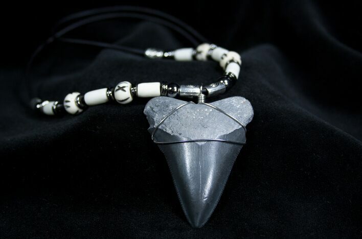 Inch Megalodon Tooth Necklace #1357